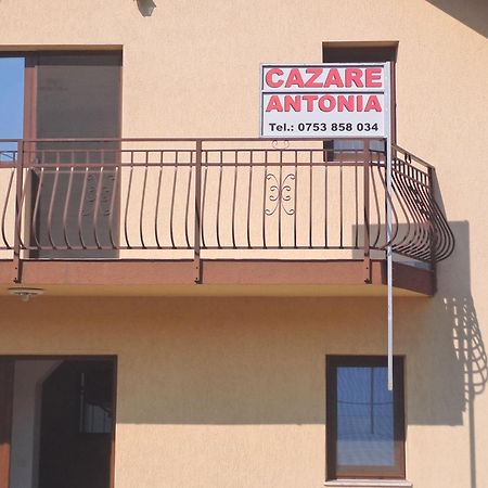 Cazare Antonia Curtea De Arges Ngoại thất bức ảnh