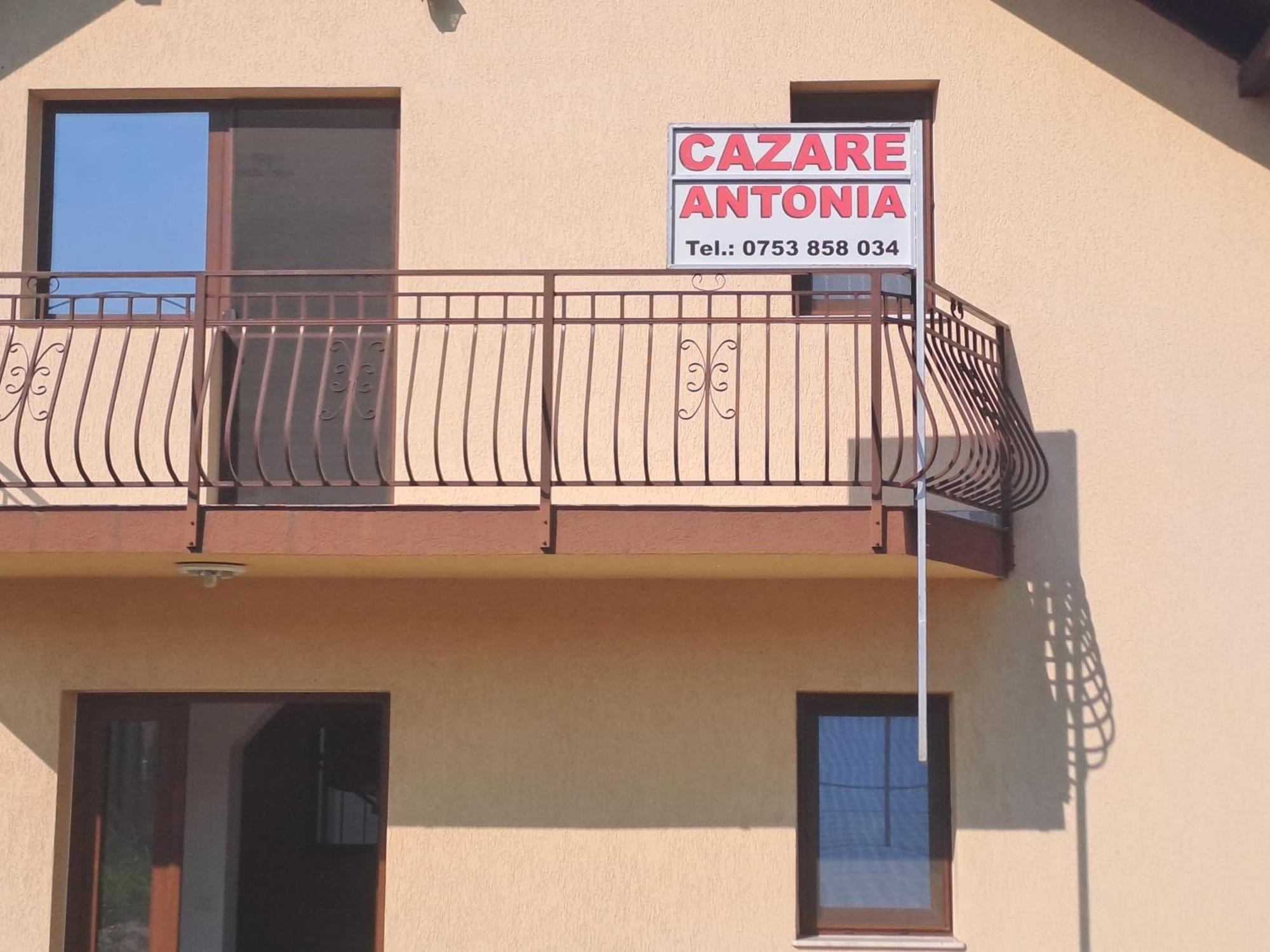 Cazare Antonia Curtea De Arges Ngoại thất bức ảnh